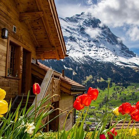 Chalet Caramelle Grindelwald Dış mekan fotoğraf
