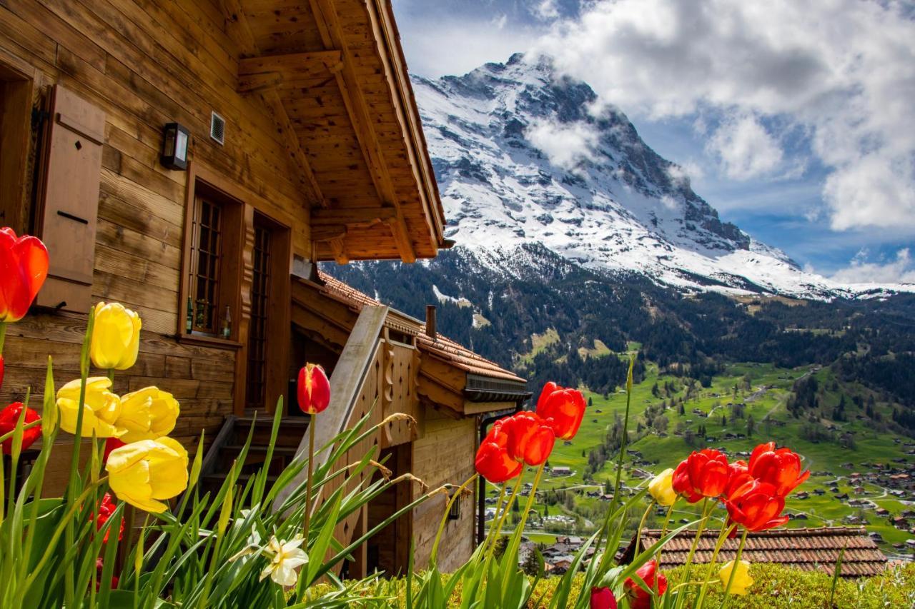 Chalet Caramelle Villa Grindelwald Dış mekan fotoğraf