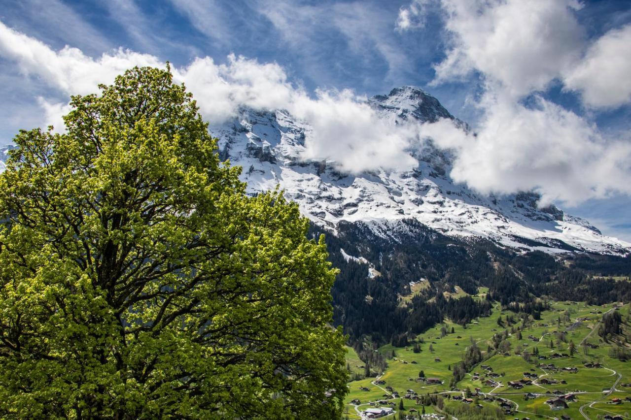 Chalet Caramelle Villa Grindelwald Dış mekan fotoğraf