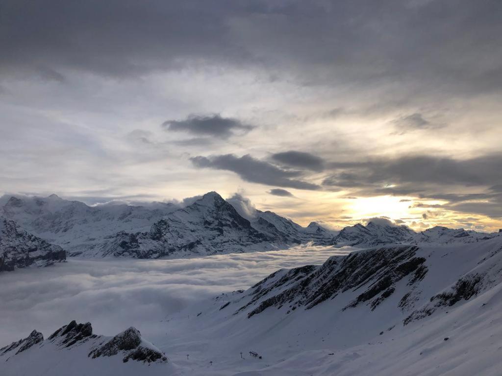 Chalet Caramelle Grindelwald Dış mekan fotoğraf