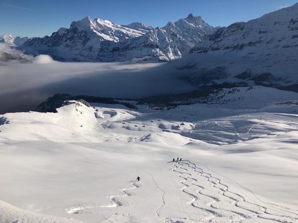 Chalet Caramelle Grindelwald Dış mekan fotoğraf