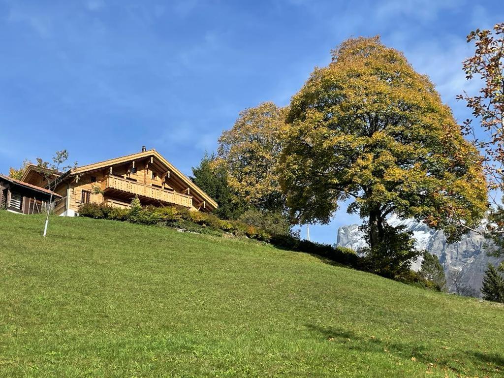 Chalet Caramelle Grindelwald Dış mekan fotoğraf