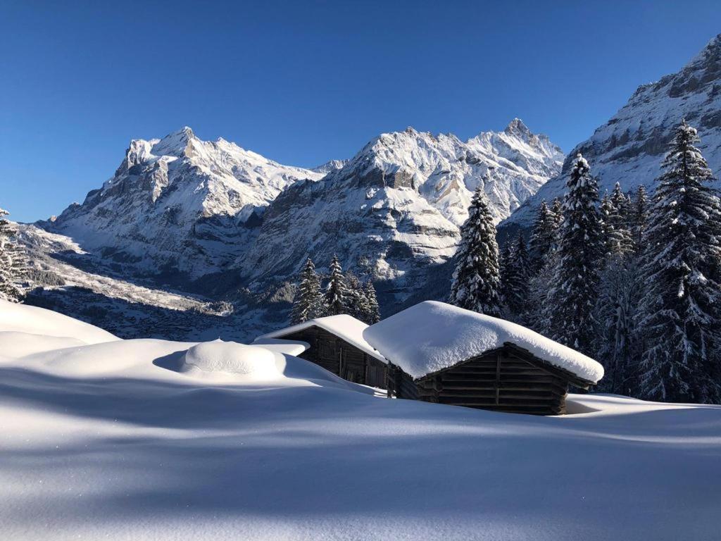 Chalet Caramelle Grindelwald Dış mekan fotoğraf