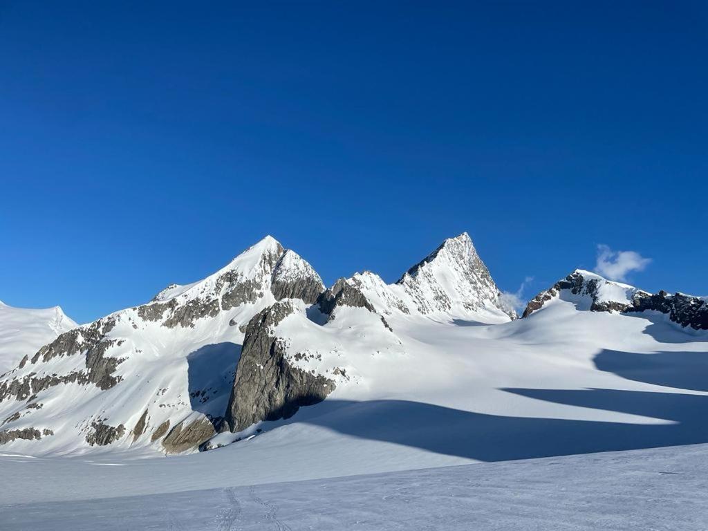 Chalet Caramelle Grindelwald Dış mekan fotoğraf