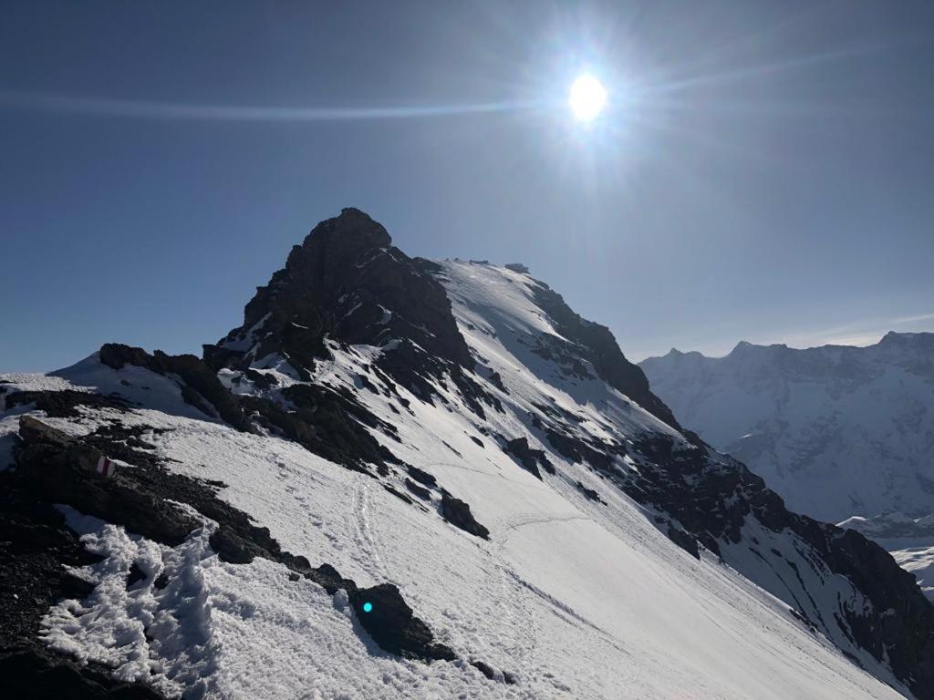 Chalet Caramelle Grindelwald Dış mekan fotoğraf
