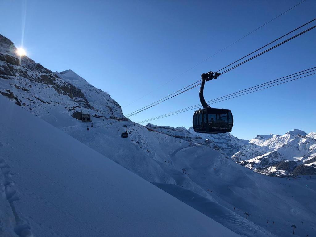 Chalet Caramelle Grindelwald Dış mekan fotoğraf