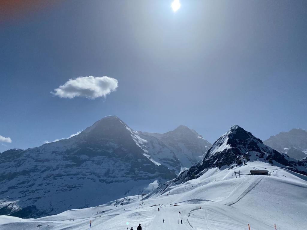 Chalet Caramelle Grindelwald Dış mekan fotoğraf