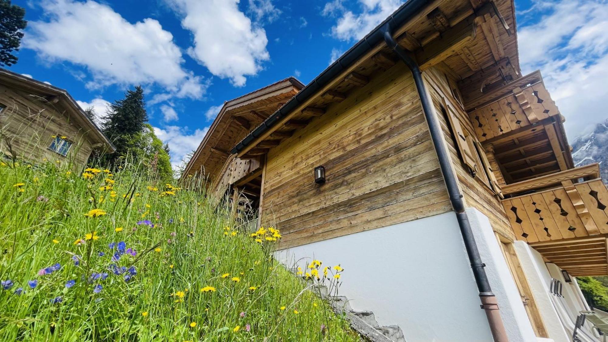 Chalet Caramelle Grindelwald Dış mekan fotoğraf